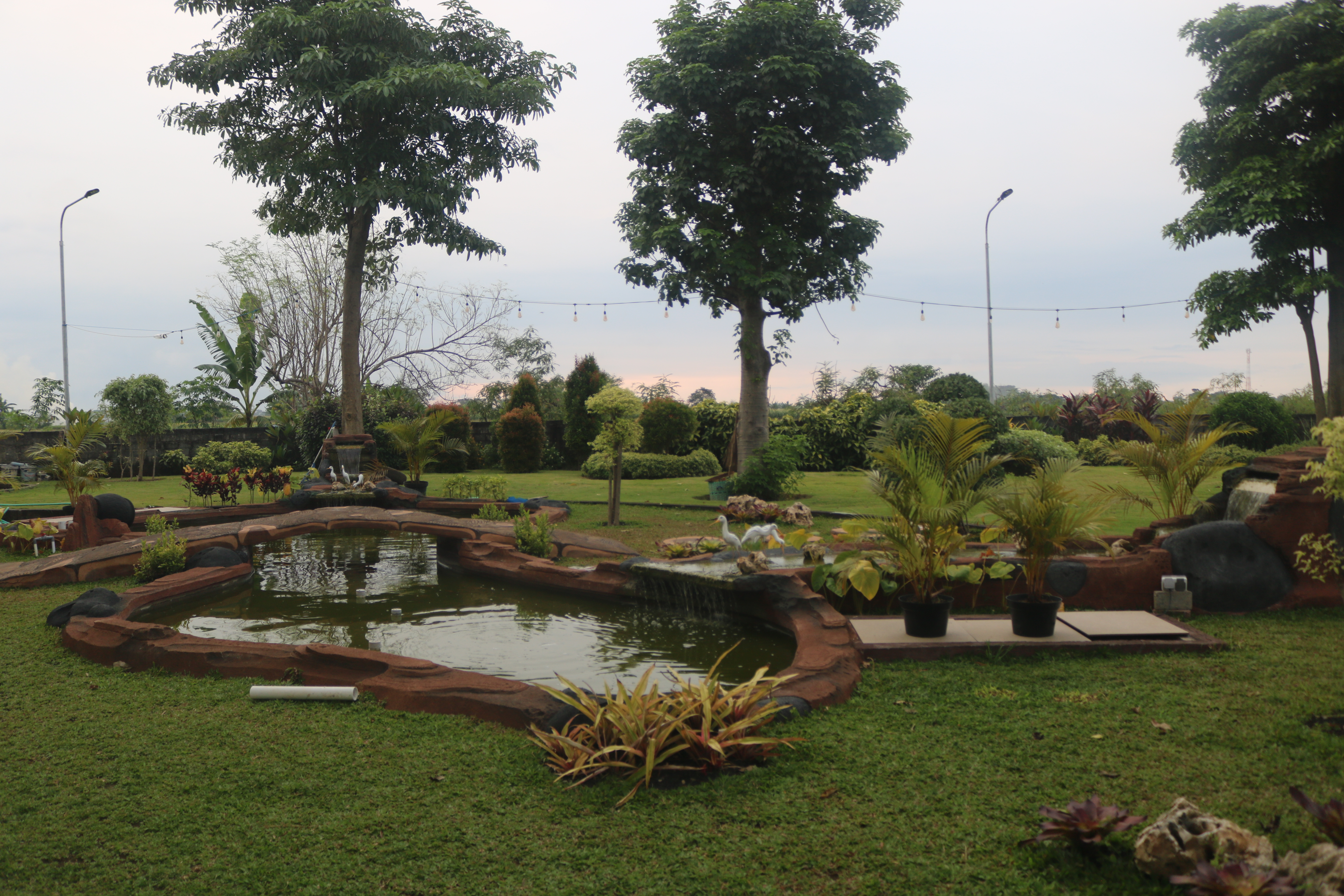 Taman